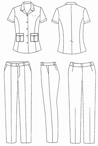 Thông tư 02/2017/TT-BTP của Bộ Tư pháp về việc hướng dẫn một số nội dung quản lý công chức, viên chức, người lao động thuộc hệ thống tổ chức thi hành án dân sự