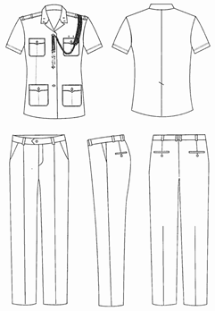 Thông tư 02/2017/TT-BTP của Bộ Tư pháp về việc hướng dẫn một số nội dung quản lý công chức, viên chức, người lao động thuộc hệ thống tổ chức thi hành án dân sự