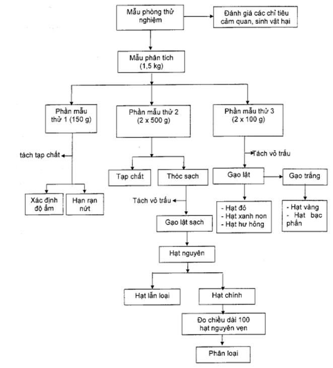 Thông tư 87/2020/TT-BTC của Bộ Tài chính về việc ban hành Quy chuẩn kỹ thuật quốc gia đối với thóc tẻ dự trữ quốc gia
