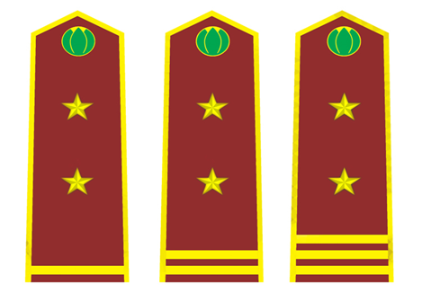 Thông tư 30/2015/TT-BNNPTNT của Bộ Nông nghiệp và Phát triển nông thôn về việc quy định trang phục, phù hiệu, cấp hiệu, biển hiệu và thẻ công chức kiểm dịch thực vật