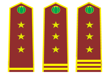 Thông tư 30/2015/TT-BNNPTNT của Bộ Nông nghiệp và Phát triển nông thôn về việc quy định trang phục, phù hiệu, cấp hiệu, biển hiệu và thẻ công chức kiểm dịch thực vật