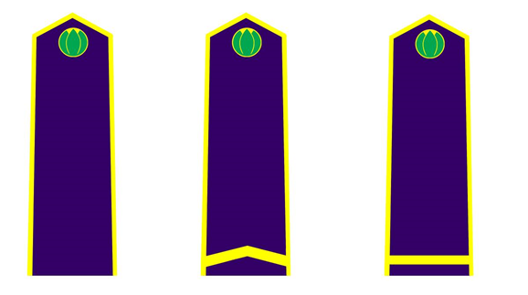 Thông tư 30/2015/TT-BNNPTNT của Bộ Nông nghiệp và Phát triển nông thôn về việc quy định trang phục, phù hiệu, cấp hiệu, biển hiệu và thẻ công chức kiểm dịch thực vật