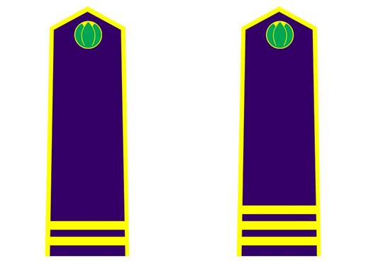 Thông tư 30/2015/TT-BNNPTNT của Bộ Nông nghiệp và Phát triển nông thôn về việc quy định trang phục, phù hiệu, cấp hiệu, biển hiệu và thẻ công chức kiểm dịch thực vật