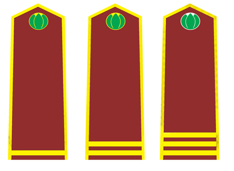 Thông tư 30/2015/TT-BNNPTNT của Bộ Nông nghiệp và Phát triển nông thôn về việc quy định trang phục, phù hiệu, cấp hiệu, biển hiệu và thẻ công chức kiểm dịch thực vật