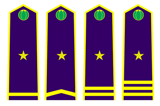 Thông tư 30/2015/TT-BNNPTNT của Bộ Nông nghiệp và Phát triển nông thôn về việc quy định trang phục, phù hiệu, cấp hiệu, biển hiệu và thẻ công chức kiểm dịch thực vật