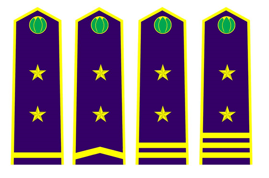 Thông tư 30/2015/TT-BNNPTNT của Bộ Nông nghiệp và Phát triển nông thôn về việc quy định trang phục, phù hiệu, cấp hiệu, biển hiệu và thẻ công chức kiểm dịch thực vật