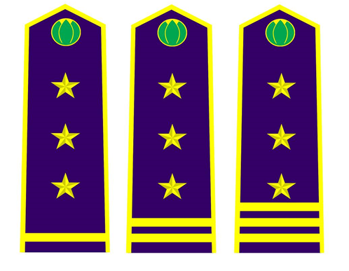 Thông tư 30/2015/TT-BNNPTNT của Bộ Nông nghiệp và Phát triển nông thôn về việc quy định trang phục, phù hiệu, cấp hiệu, biển hiệu và thẻ công chức kiểm dịch thực vật