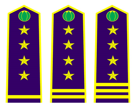 Thông tư 30/2015/TT-BNNPTNT của Bộ Nông nghiệp và Phát triển nông thôn về việc quy định trang phục, phù hiệu, cấp hiệu, biển hiệu và thẻ công chức kiểm dịch thực vật