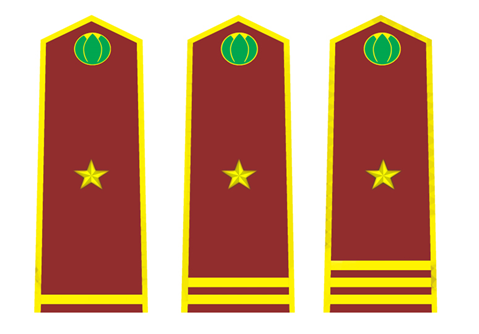 Thông tư 30/2015/TT-BNNPTNT của Bộ Nông nghiệp và Phát triển nông thôn về việc quy định trang phục, phù hiệu, cấp hiệu, biển hiệu và thẻ công chức kiểm dịch thực vật