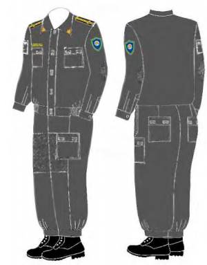 Thông tư 16/2016/TT-BNNPTNT của Bộ Nông nghiệp và Phát triển nông thôn về việc sửa đổi, bổ sung một số điều của Thông tư 12/2014/TT-BNNPTNT ngày 08/04/2014 của Bộ Nông nghiệp và Phát triển nông thôn quy định biểu trưng, cờ hiệu, cờ truyền thống, trang phục, mẫu thẻ kiểm ngư và màu sơn tàu, xuồng kiểm ngư