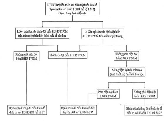 Quyết định 1248/QĐ-BYT của Bộ Y tế về việc sửa đổi một số nội dung của 