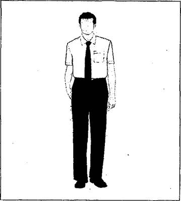 Thông tư 38/2019/TT-BGTVT của Bộ Giao thông Vận tải về việc sửa đổi, bổ sung một số điều Thông tư 12/2017/TT-BGTVT ngày 15/4/2017 của Bộ trưởng Bộ Giao thông Vận tải quy định về đào tạo, sát hạch, cấp giấy phép lái xe cơ giới đường bộ