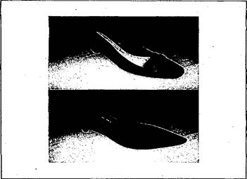 Thông tư 38/2019/TT-BGTVT của Bộ Giao thông Vận tải về việc sửa đổi, bổ sung một số điều Thông tư 12/2017/TT-BGTVT ngày 15/4/2017 của Bộ trưởng Bộ Giao thông Vận tải quy định về đào tạo, sát hạch, cấp giấy phép lái xe cơ giới đường bộ