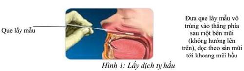 Quyết định 1619/QĐ-BYT của Bộ Y tế về việc ban hành Phụ lục thay thế Phụ lục 1 