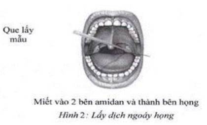 Quyết định 1619/QĐ-BYT của Bộ Y tế về việc ban hành Phụ lục thay thế Phụ lục 1 
