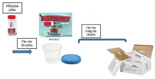 Quyết định 1619/QĐ-BYT của Bộ Y tế về việc ban hành Phụ lục thay thế Phụ lục 1 