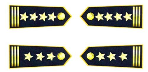 Thông tư 56/2020/TT-BCT của Bộ Công Thương về việc sửa đổi, bổ sung một số điều của Thông tư 32/2018/TT-BCT ngày 08/10/2018 của Bộ trưởng Bộ Công Thương quy định mẫu, quy cách, chế độ cấp phát, quản lý, sử dụng số hiệu, biển hiệu, phù hiệu, cờ hiệu, cấp hiệu, trang phục của lực lượng Quản lý thị trường