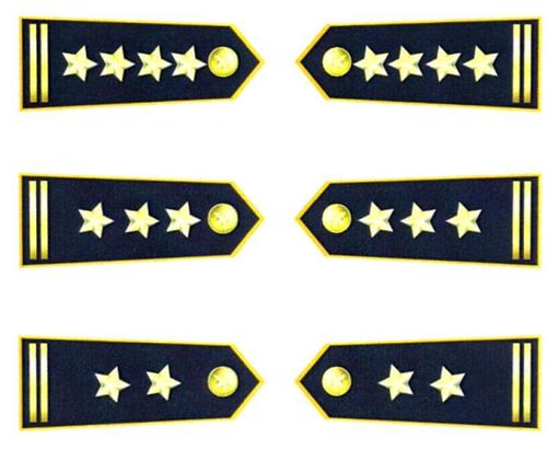 Thông tư 56/2020/TT-BCT của Bộ Công Thương về việc sửa đổi, bổ sung một số điều của Thông tư 32/2018/TT-BCT ngày 08/10/2018 của Bộ trưởng Bộ Công Thương quy định mẫu, quy cách, chế độ cấp phát, quản lý, sử dụng số hiệu, biển hiệu, phù hiệu, cờ hiệu, cấp hiệu, trang phục của lực lượng Quản lý thị trường