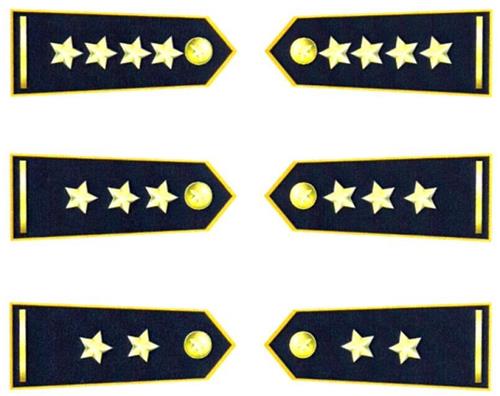 Thông tư 56/2020/TT-BCT của Bộ Công Thương về việc sửa đổi, bổ sung một số điều của Thông tư 32/2018/TT-BCT ngày 08/10/2018 của Bộ trưởng Bộ Công Thương quy định mẫu, quy cách, chế độ cấp phát, quản lý, sử dụng số hiệu, biển hiệu, phù hiệu, cờ hiệu, cấp hiệu, trang phục của lực lượng Quản lý thị trường