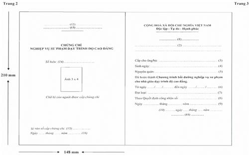 Thông tư 28/2018/TT-BLĐTBXH của Bộ Lao động Thương binh và Xã hội về việc quy định chương trình bồi dưỡng nghiệp vụ sư phạm cho nhà giáo dạy trình độ trung cấp, dạy trình độ cao đẳng; mẫu và quy chế quản lý, cấp chứng chỉ nghiệp vụ sư phạm dạy trình độ trung cấp, dạy trình độ cao đẳng