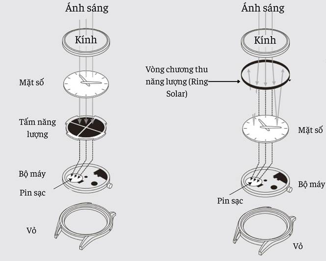 Điều gì khiến Citizen Eco Drive dẫn đầu công nghệ ánh sáng? Điều gì khiến Citizen Eco Drive dẫn đầu công nghệ ánh sáng?