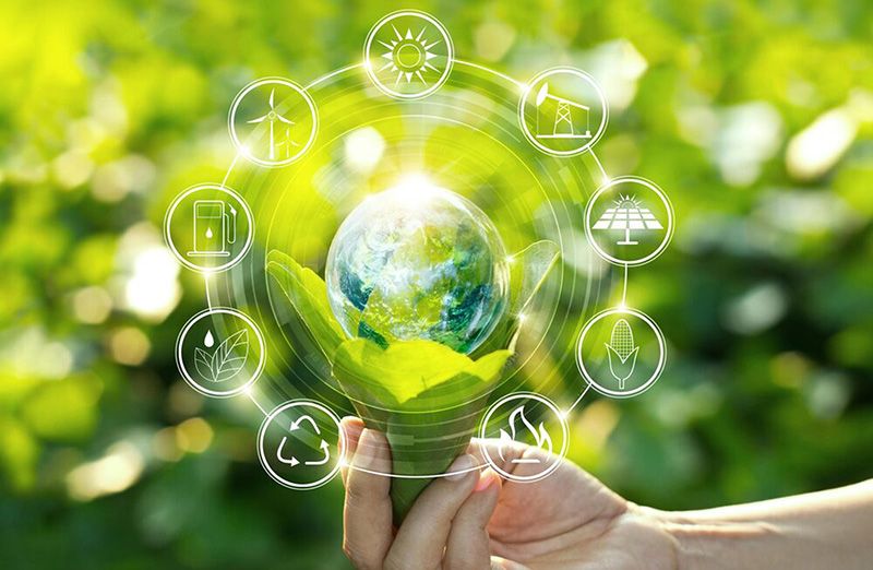 Hướng dẫn thủ tục Cấp đổi, cấp lại chứng chỉ quản lý năng lượng khi chưa hết hạn [từ ngày 01/01/2026]