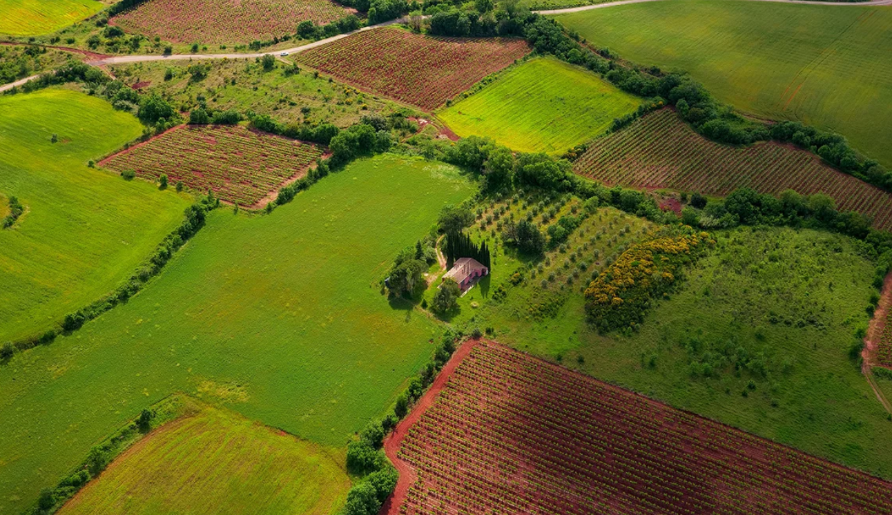 Nghị quyết 254/2025/QH15 Nghị quyết 254/2025/QH15 về cơ chế tháo gỡ khó khăn, vướng mắc trong thi hành Luật Đất đai