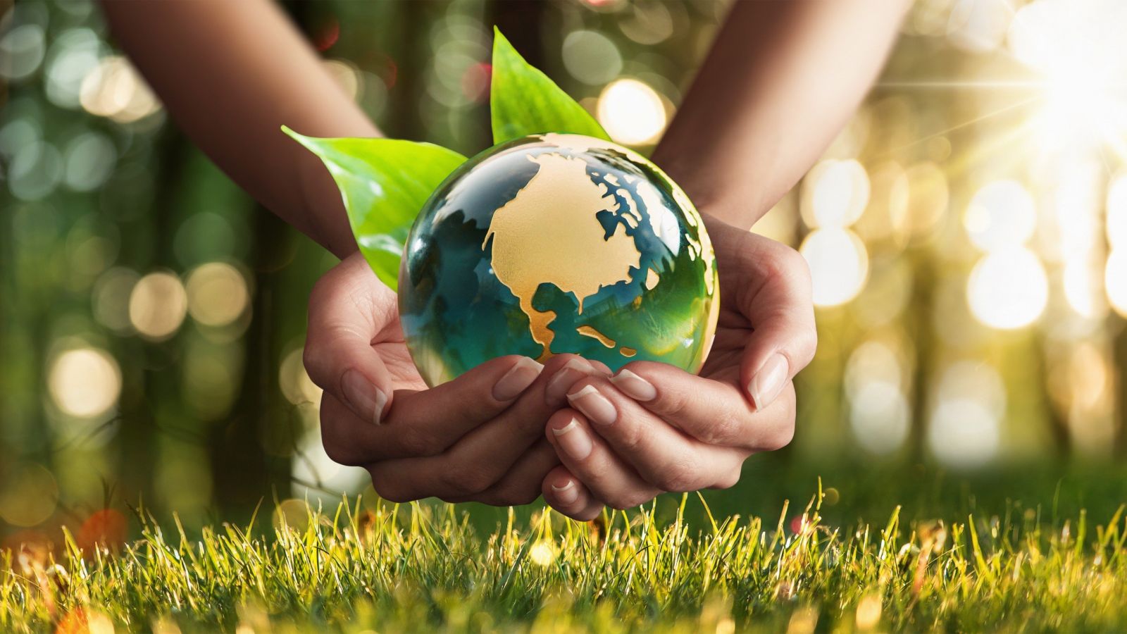 Chính sách mới tháng 02/2026 về bảo vệ môi trường