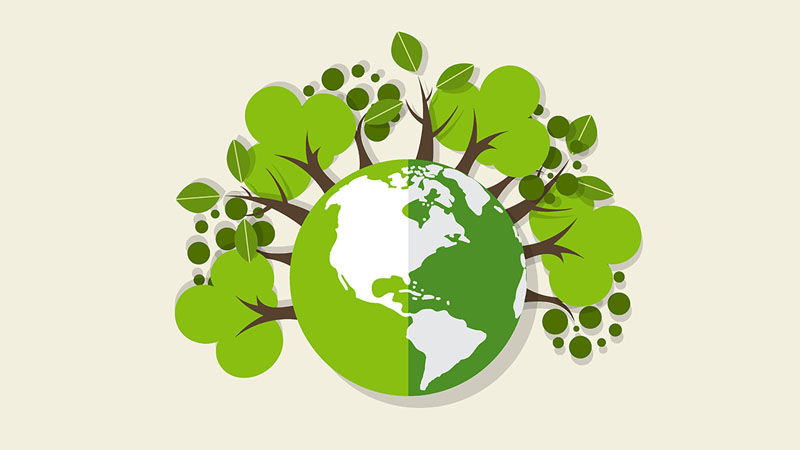 Điểm mới của Thông tư 09/2026/TT-BNNMT về bảo vệ môi trường