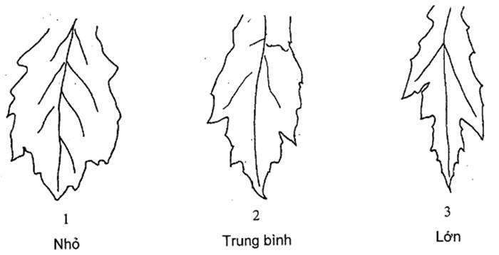 Thông tư 05/2014/TT-BNNPTNT của Bộ Nông nghiệp và Phát triển nông thôn về việc ban hành Quy chuẩn kỹ thuật quốc gia lĩnh vực trồng trọt