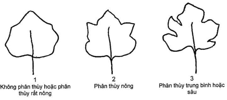 Thông tư 05/2014/TT-BNNPTNT của Bộ Nông nghiệp và Phát triển nông thôn về việc ban hành Quy chuẩn kỹ thuật quốc gia lĩnh vực trồng trọt