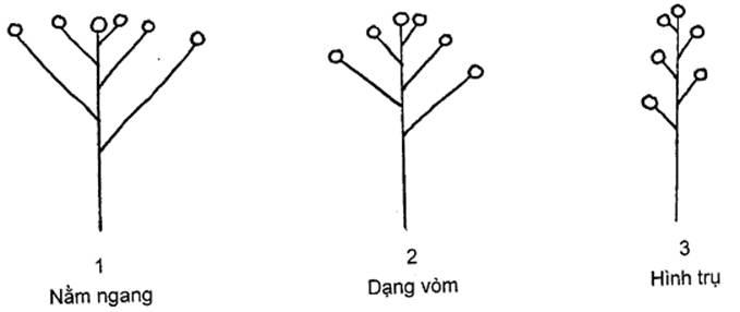 Thông tư 05/2014/TT-BNNPTNT của Bộ Nông nghiệp và Phát triển nông thôn về việc ban hành Quy chuẩn kỹ thuật quốc gia lĩnh vực trồng trọt