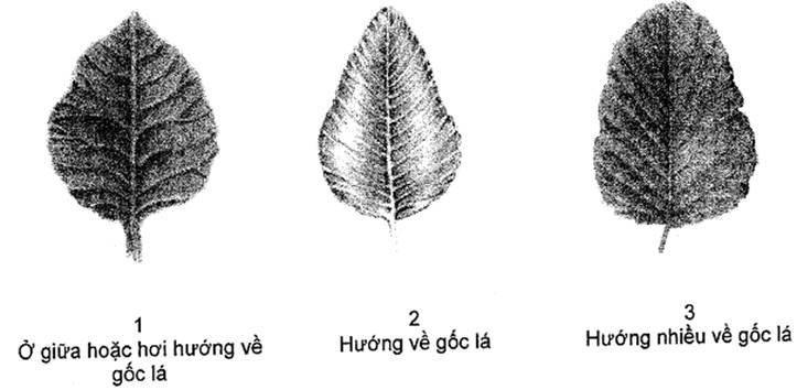 Thông tư 05/2014/TT-BNNPTNT của Bộ Nông nghiệp và Phát triển nông thôn về việc ban hành Quy chuẩn kỹ thuật quốc gia lĩnh vực trồng trọt