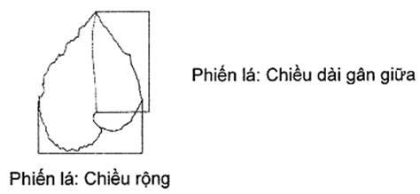 Thông tư 05/2014/TT-BNNPTNT của Bộ Nông nghiệp và Phát triển nông thôn về việc ban hành Quy chuẩn kỹ thuật quốc gia lĩnh vực trồng trọt