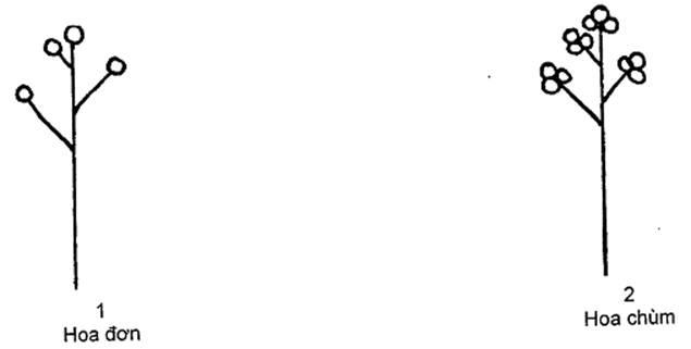 Thông tư 05/2014/TT-BNNPTNT của Bộ Nông nghiệp và Phát triển nông thôn về việc ban hành Quy chuẩn kỹ thuật quốc gia lĩnh vực trồng trọt