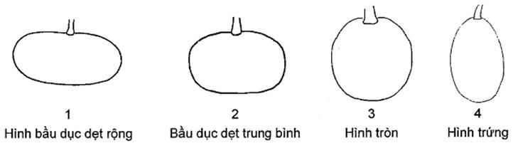 Thông tư 05/2014/TT-BNNPTNT của Bộ Nông nghiệp và Phát triển nông thôn về việc ban hành Quy chuẩn kỹ thuật quốc gia lĩnh vực trồng trọt