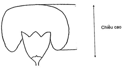 Thông tư 05/2014/TT-BNNPTNT của Bộ Nông nghiệp và Phát triển nông thôn về việc ban hành Quy chuẩn kỹ thuật quốc gia lĩnh vực trồng trọt