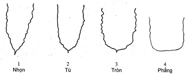 Thông tư 05/2014/TT-BNNPTNT của Bộ Nông nghiệp và Phát triển nông thôn về việc ban hành Quy chuẩn kỹ thuật quốc gia lĩnh vực trồng trọt