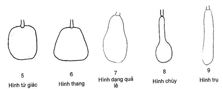 Thông tư 05/2014/TT-BNNPTNT của Bộ Nông nghiệp và Phát triển nông thôn về việc ban hành Quy chuẩn kỹ thuật quốc gia lĩnh vực trồng trọt