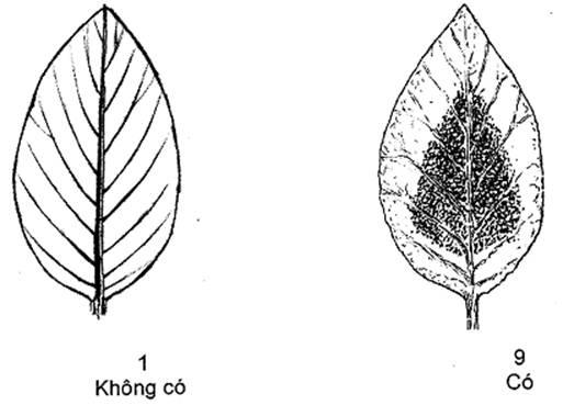 Thông tư 05/2014/TT-BNNPTNT của Bộ Nông nghiệp và Phát triển nông thôn về việc ban hành Quy chuẩn kỹ thuật quốc gia lĩnh vực trồng trọt
