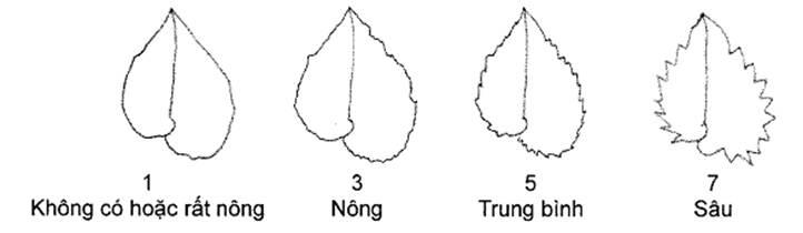 Thông tư 05/2014/TT-BNNPTNT của Bộ Nông nghiệp và Phát triển nông thôn về việc ban hành Quy chuẩn kỹ thuật quốc gia lĩnh vực trồng trọt