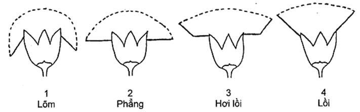 Thông tư 05/2014/TT-BNNPTNT của Bộ Nông nghiệp và Phát triển nông thôn về việc ban hành Quy chuẩn kỹ thuật quốc gia lĩnh vực trồng trọt