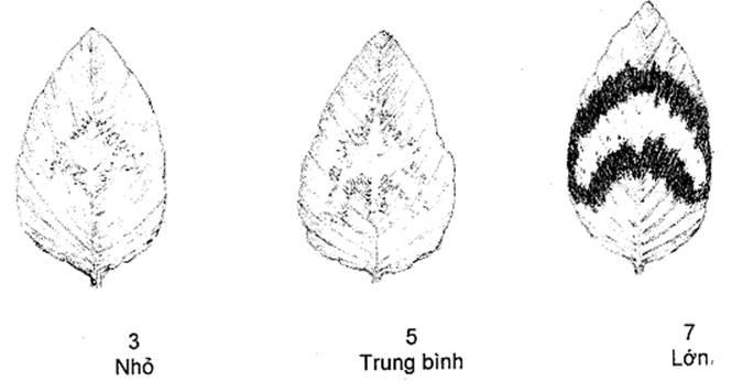 Thông tư 05/2014/TT-BNNPTNT của Bộ Nông nghiệp và Phát triển nông thôn về việc ban hành Quy chuẩn kỹ thuật quốc gia lĩnh vực trồng trọt