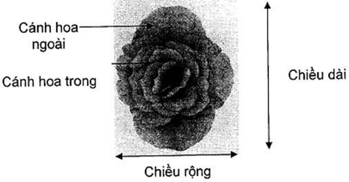 Thông tư 05/2014/TT-BNNPTNT của Bộ Nông nghiệp và Phát triển nông thôn về việc ban hành Quy chuẩn kỹ thuật quốc gia lĩnh vực trồng trọt