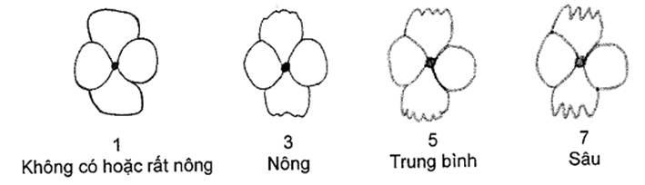 Thông tư 05/2014/TT-BNNPTNT của Bộ Nông nghiệp và Phát triển nông thôn về việc ban hành Quy chuẩn kỹ thuật quốc gia lĩnh vực trồng trọt