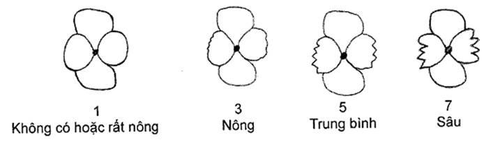 Thông tư 05/2014/TT-BNNPTNT của Bộ Nông nghiệp và Phát triển nông thôn về việc ban hành Quy chuẩn kỹ thuật quốc gia lĩnh vực trồng trọt