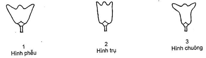 Thông tư 05/2014/TT-BNNPTNT của Bộ Nông nghiệp và Phát triển nông thôn về việc ban hành Quy chuẩn kỹ thuật quốc gia lĩnh vực trồng trọt