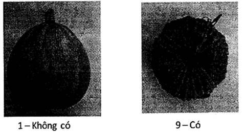 Thông tư 05/2014/TT-BNNPTNT của Bộ Nông nghiệp và Phát triển nông thôn về việc ban hành Quy chuẩn kỹ thuật quốc gia lĩnh vực trồng trọt