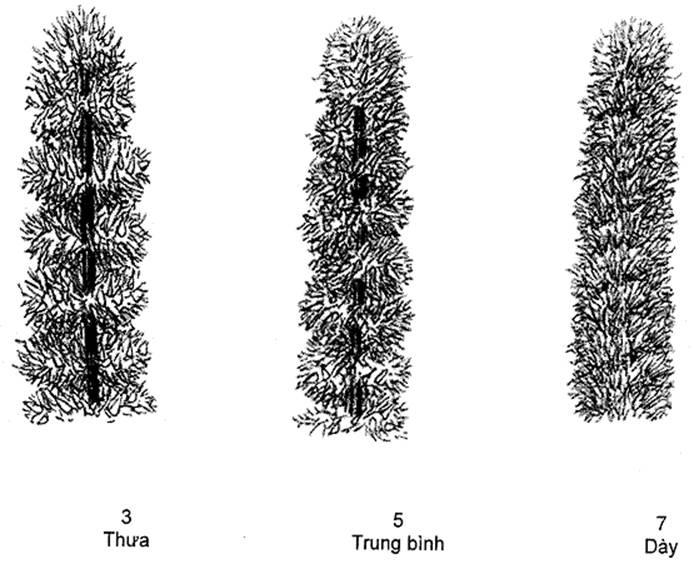 Thông tư 05/2014/TT-BNNPTNT của Bộ Nông nghiệp và Phát triển nông thôn về việc ban hành Quy chuẩn kỹ thuật quốc gia lĩnh vực trồng trọt