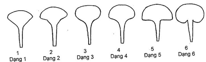 Thông tư 05/2014/TT-BNNPTNT của Bộ Nông nghiệp và Phát triển nông thôn về việc ban hành Quy chuẩn kỹ thuật quốc gia lĩnh vực trồng trọt